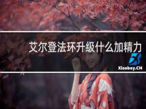 艾尔登法环升级什么加精力