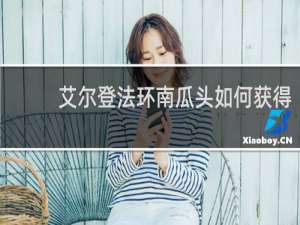 艾尔登法环南瓜头如何获得