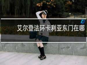 艾尔登法环卡利亚东门在哪