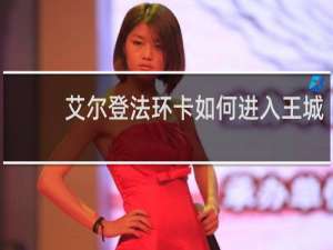 艾尔登法环卡如何进入王城
