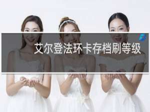 艾尔登法环卡存档刷等级