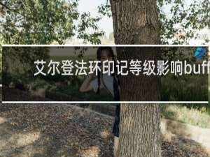 艾尔登法环印记等级影响buff