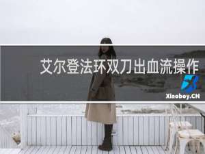 艾尔登法环双刀出血流操作