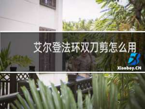 艾尔登法环双刀剪怎么用