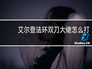 艾尔登法环双刀大佬怎么打