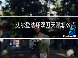 艾尔登法环双刀天赋怎么点