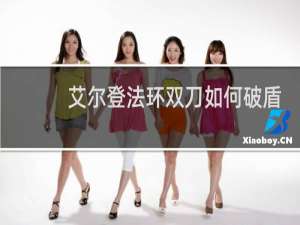 艾尔登法环双刀如何破盾
