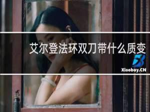 艾尔登法环双刀带什么质变