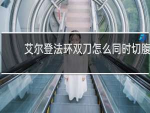 艾尔登法环双刀怎么同时切腹