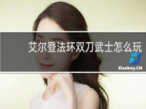 艾尔登法环双刀武士怎么玩