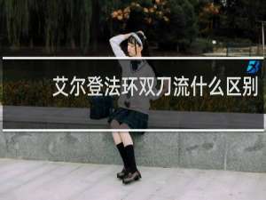 艾尔登法环双刀流什么区别