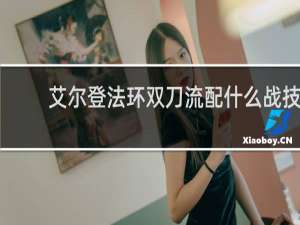 艾尔登法环双刀流配什么战技