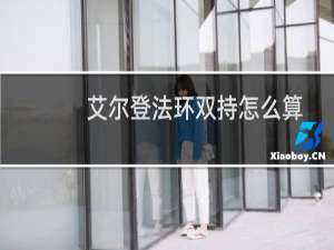 艾尔登法环双持怎么算