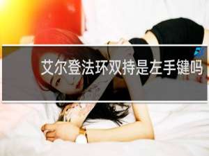 艾尔登法环双持是左手键吗