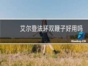 艾尔登法环双鞭子好用吗