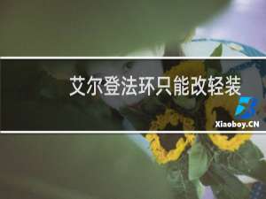 艾尔登法环只能改轻装