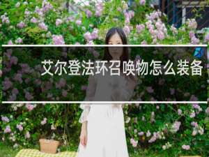 艾尔登法环召唤物怎么装备