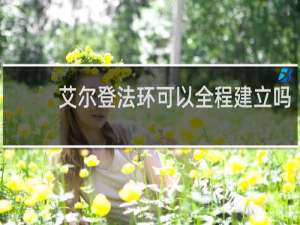 艾尔登法环可以全程建立吗