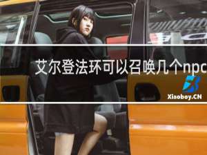 艾尔登法环可以召唤几个npc