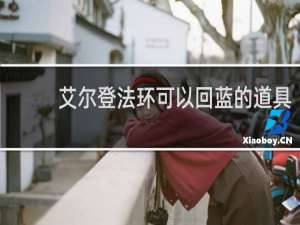 艾尔登法环可以回蓝的道具