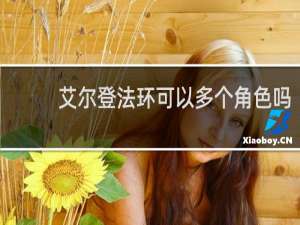 艾尔登法环可以多个角色吗