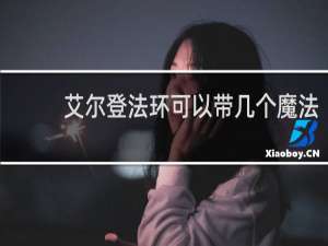 艾尔登法环可以带几个魔法