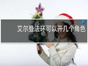 艾尔登法环可以开几个角色