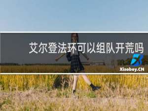 艾尔登法环可以组队开荒吗