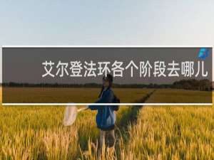 艾尔登法环各个阶段去哪儿