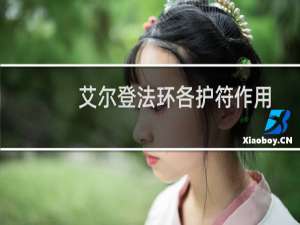 艾尔登法环各护符作用