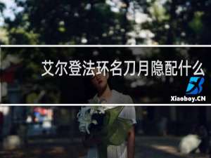 艾尔登法环名刀月隐配什么