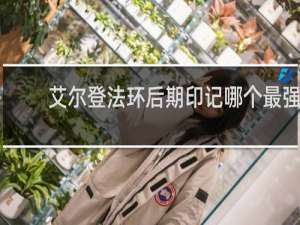 艾尔登法环后期印记哪个最强