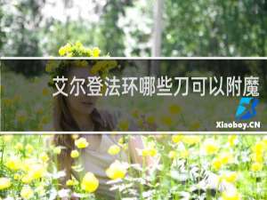 艾尔登法环哪些刀可以附魔
