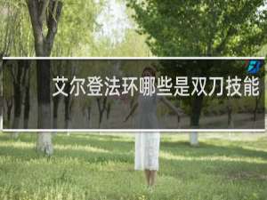 艾尔登法环哪些是双刀技能
