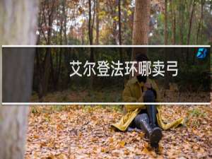 艾尔登法环哪卖弓