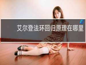 艾尔登法环回归原理在哪里