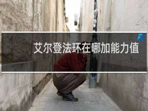 艾尔登法环在哪加能力值