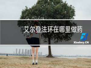 艾尔登法环在哪里做药