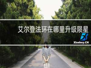 艾尔登法环在哪里升级陨星