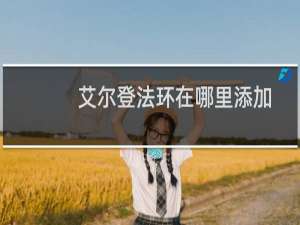 艾尔登法环在哪里添加