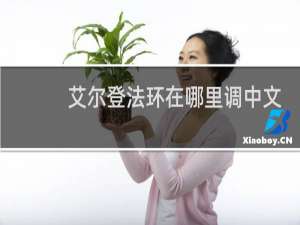 艾尔登法环在哪里调中文
