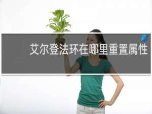 艾尔登法环在哪里重置属性