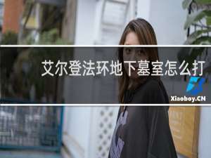 艾尔登法环地下墓室怎么打