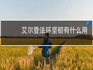 艾尔登法环坚韧有什么用