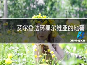 艾尔登法环塞尔维亚的地窖