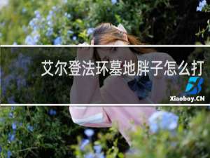 艾尔登法环墓地胖子怎么打