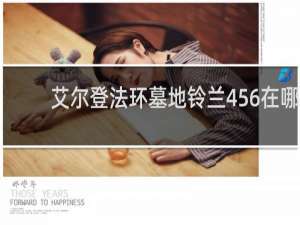 艾尔登法环墓地铃兰456在哪