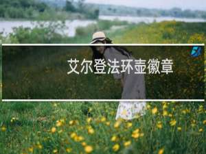 艾尔登法环壶徽章