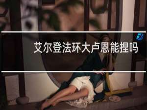 艾尔登法环大卢恩能捏吗