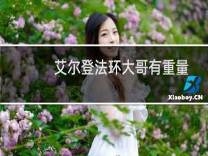 艾尔登法环大哥有重量